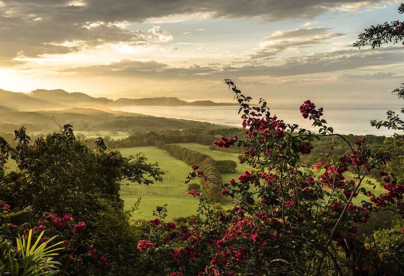 فندق فئة نجمة واحدة Cristal Azul