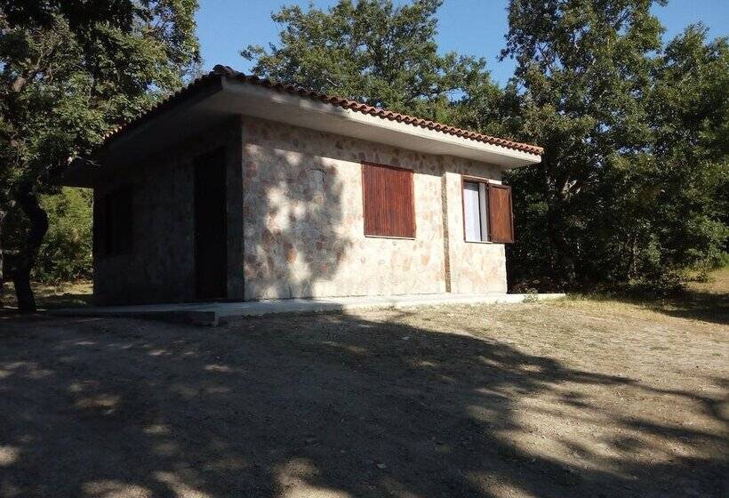 فندق فئة نجمة واحدة Parco Dei Crisciuni Villaggio Camping