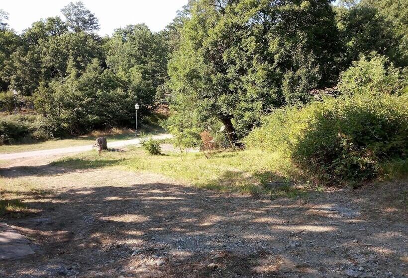 여관 Parco Dei Crisciuni Villaggio Camping
