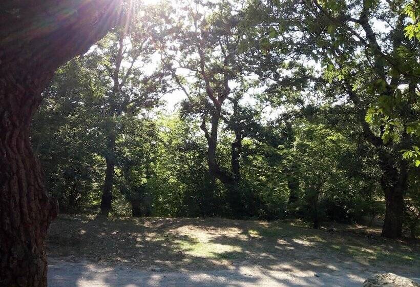 فندق فئة نجمة واحدة Parco Dei Crisciuni Villaggio Camping