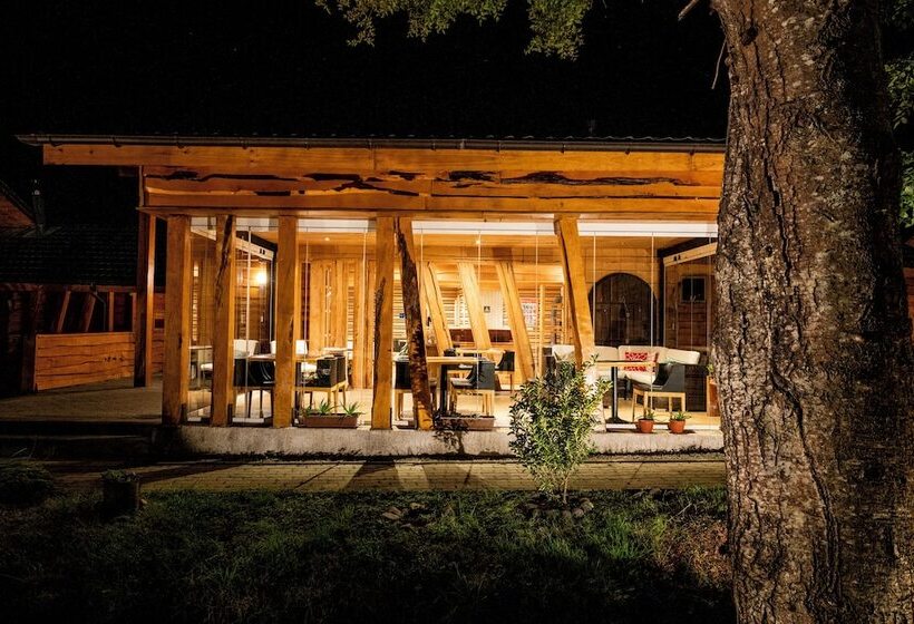 酒店 Alto Melimoyu