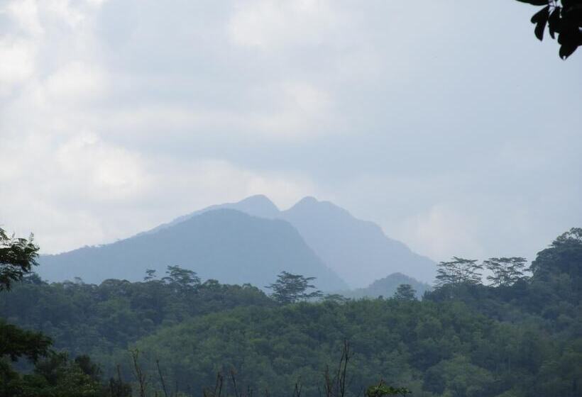 فندق Bandura Kalawana Rainforest Bungalow