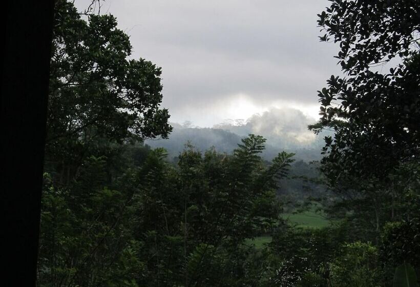 فندق Bandura Kalawana Rainforest Bungalow