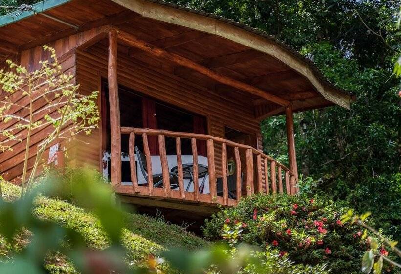 فندق Cedrela Ecolodge