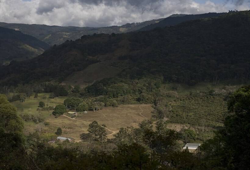 فندق Cedrela Ecolodge