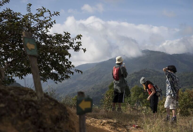 فندق Cedrela Ecolodge