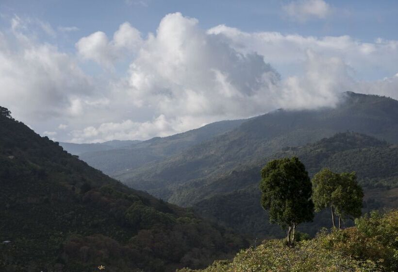 فندق Cedrela Ecolodge