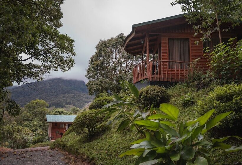 فندق Cedrela Ecolodge