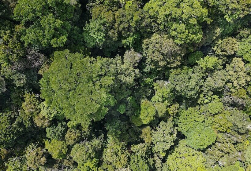 فندق Cedrela Ecolodge