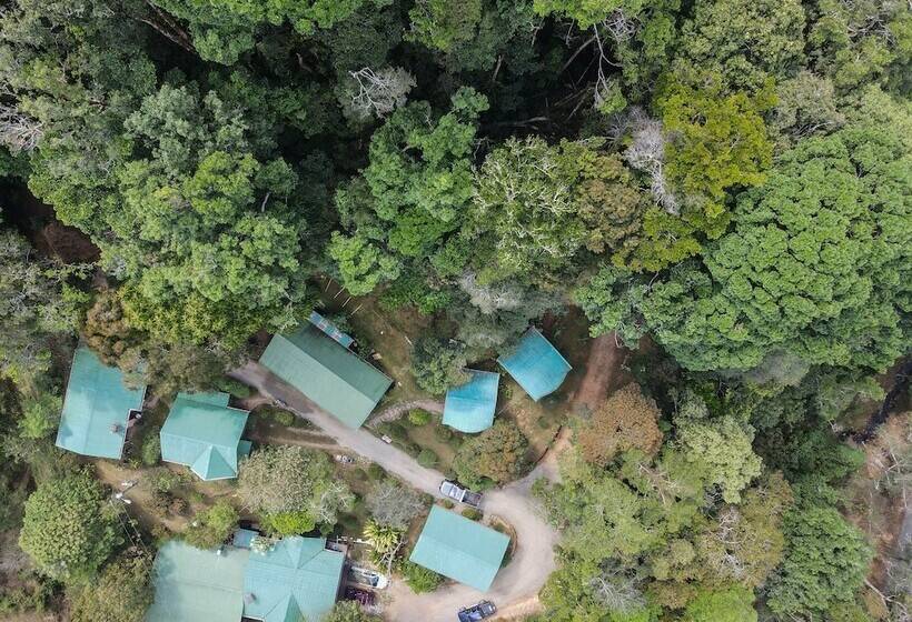 فندق Cedrela Ecolodge