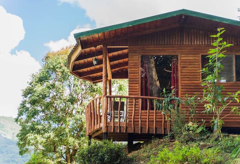 فندق Cedrela Ecolodge