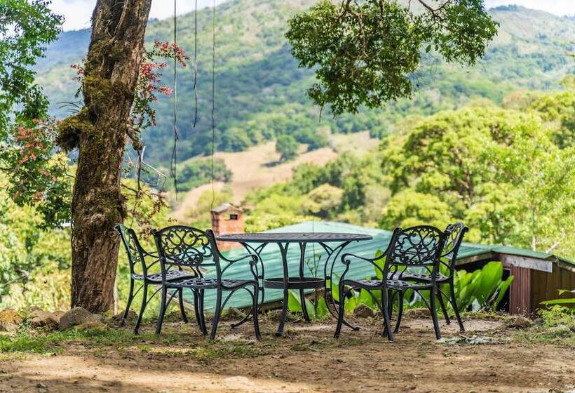 فندق Cedrela Ecolodge