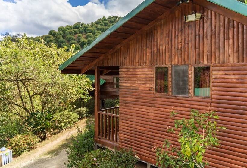 فندق Cedrela Ecolodge