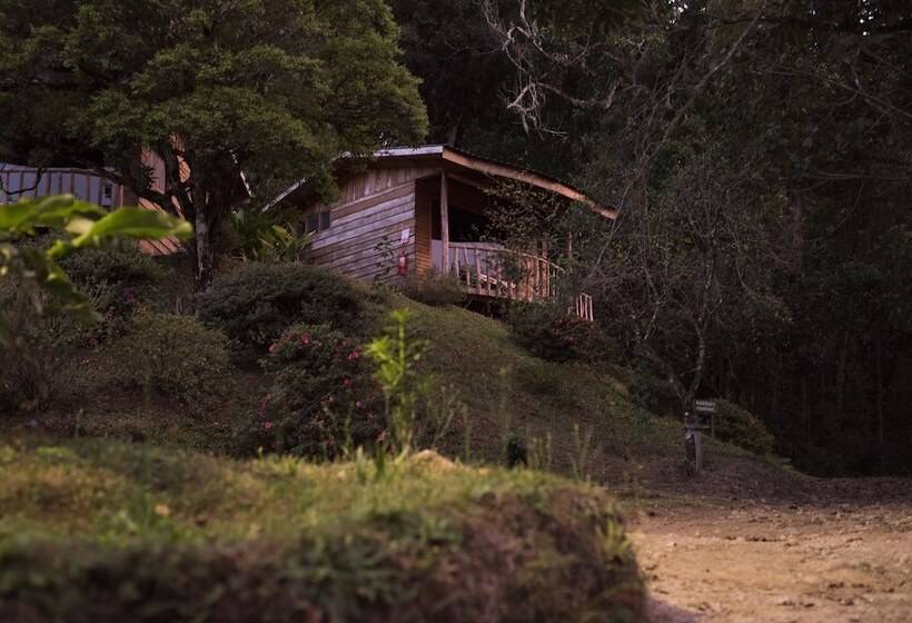 فندق Cedrela Ecolodge