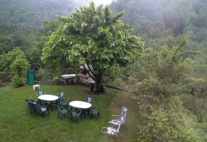 בית מלון כפרי Delfino