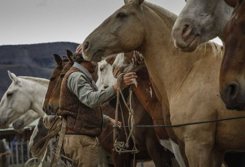 ホテル Estancia Cristina