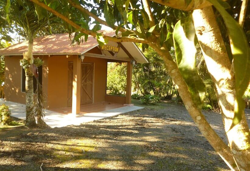 ホテル Paraiso Volcano Lodge