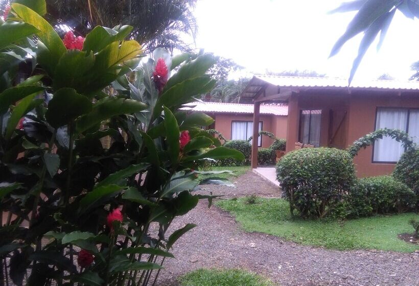 ホテル Paraiso Volcano Lodge