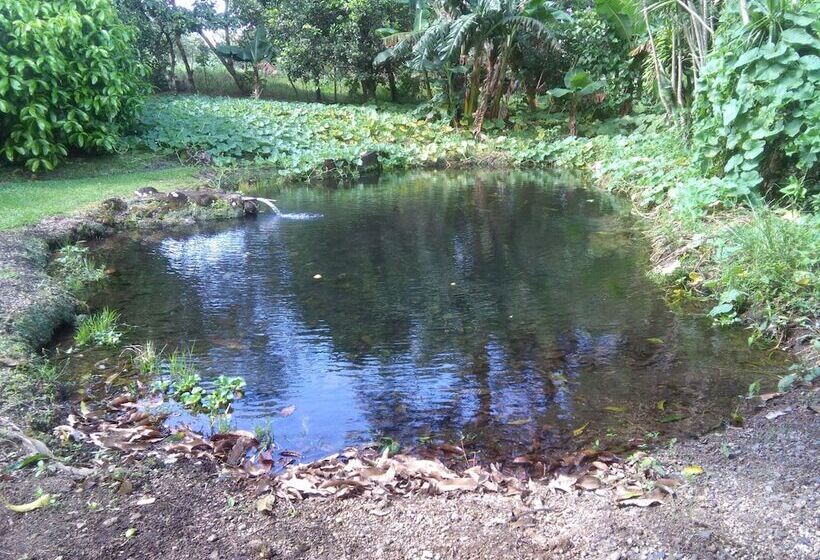 فندق Paraiso Volcano Lodge