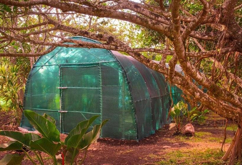 ホテル Paraiso Volcano Lodge