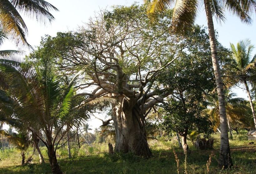 酒店 Pura Vida Lodge