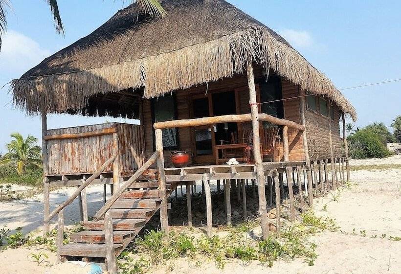 酒店 Pura Vida Lodge