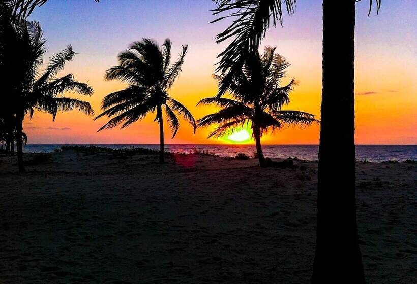 酒店 Pura Vida Lodge