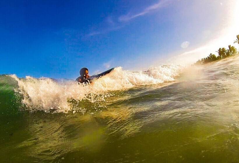 酒店 Pura Vida Lodge