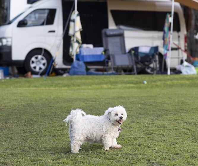 فندق Reflections Bonny Hills   Holiday Park