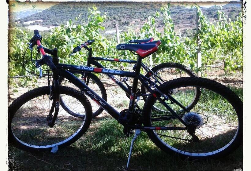 Сельский отель Agriturismo B&b Domo De Resteblas