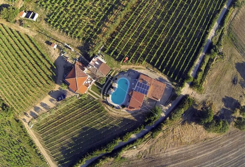 Сельский отель Agriturismo B&b Domo De Resteblas