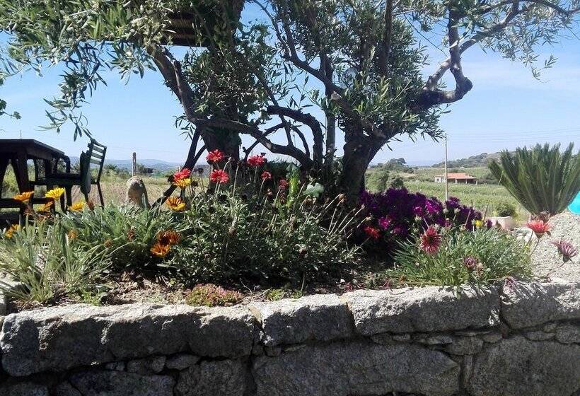 Сельский отель Agriturismo B&b Domo De Resteblas