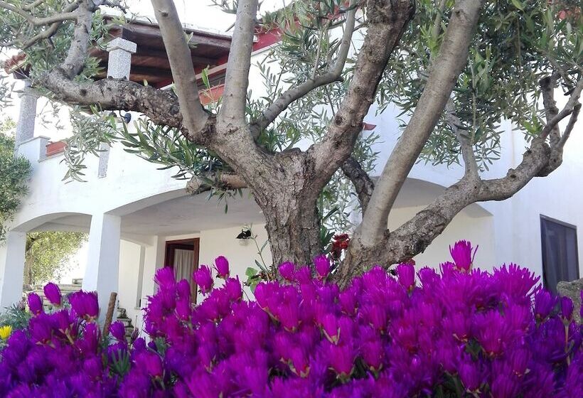 Сельский отель Agriturismo B&b Domo De Resteblas