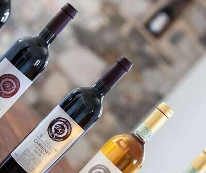 בית מלון כפרי Agriturismo Bressani