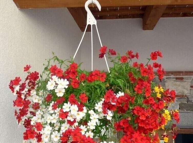 בית מלון כפרי Agriturismo Bressani