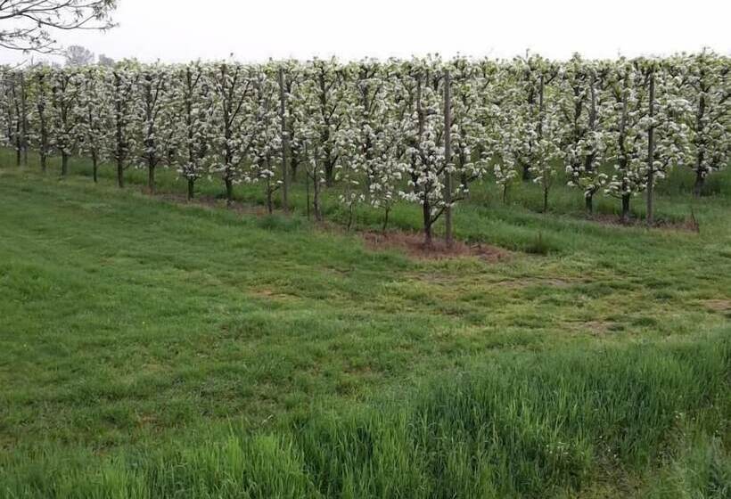 فندق ريفى Agriturismo Dosso Al Porto