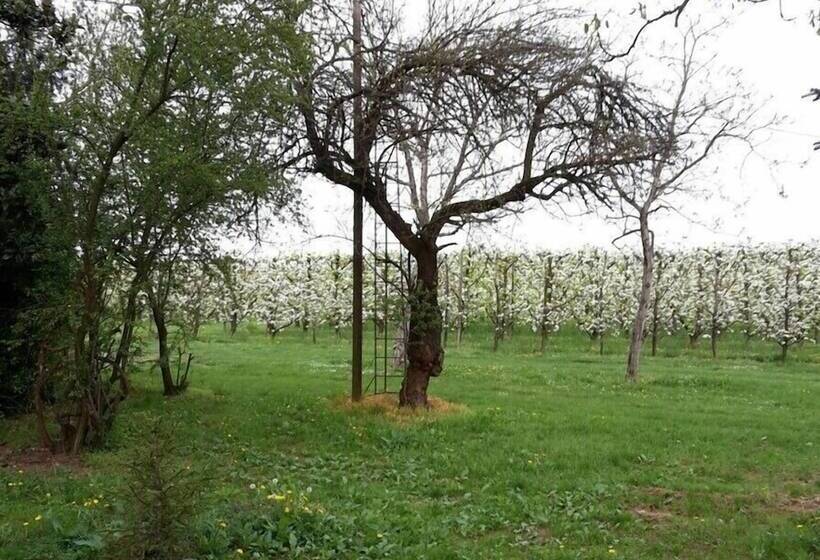 فندق ريفى Agriturismo Dosso Al Porto