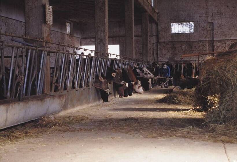 Сельский отель Agriturismo San Giuliano