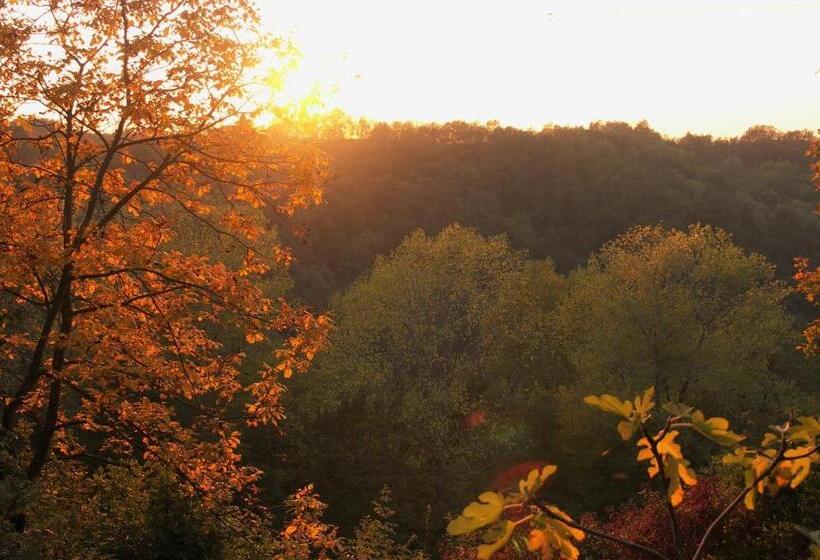 فندق ريفى La Traversina