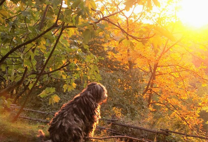בית מלון כפרי La Traversina