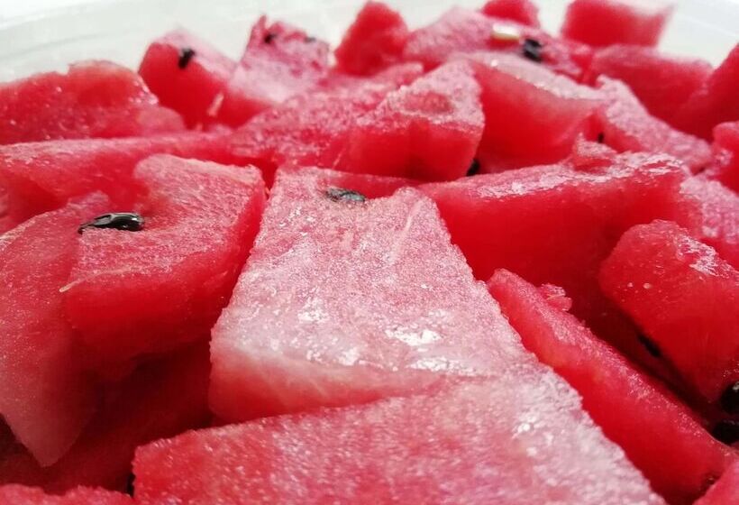 酒店 Santa Maria Volcano Lodge