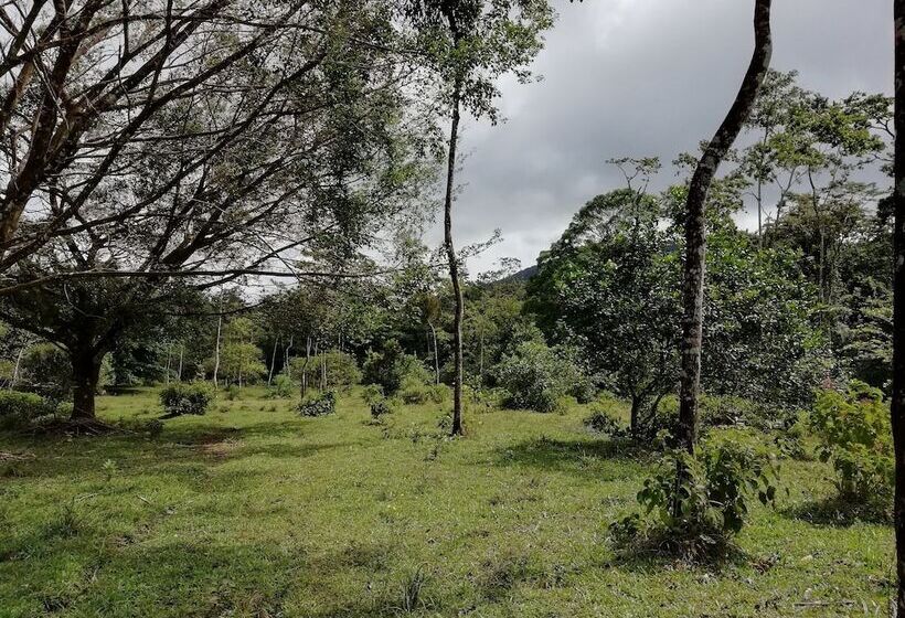 酒店 Santa Maria Volcano Lodge