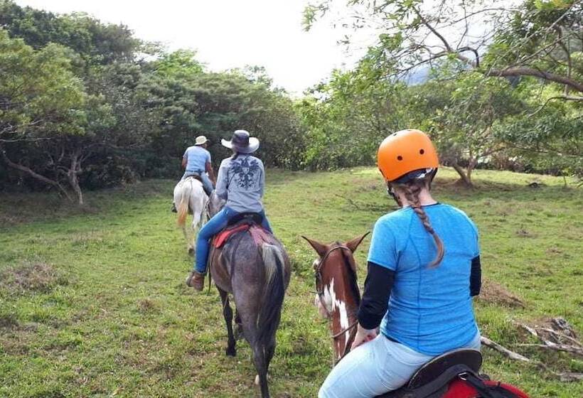 酒店 Santa Maria Volcano Lodge