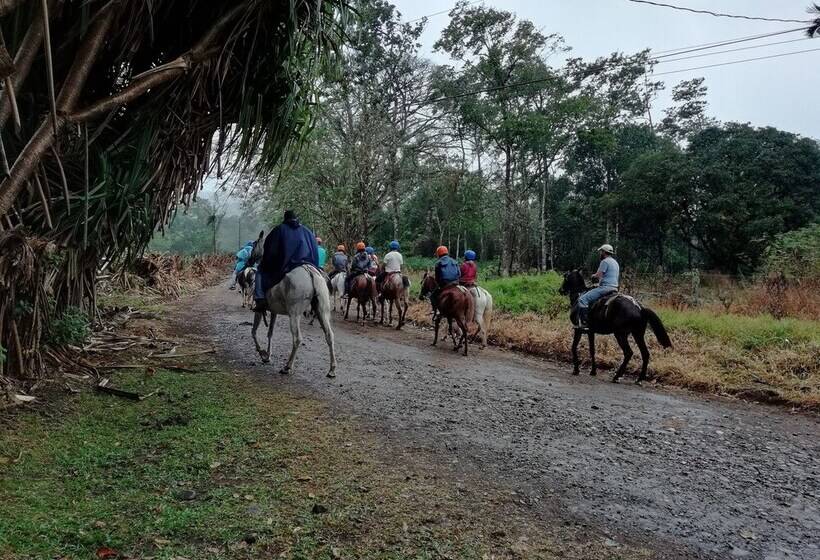 酒店 Santa Maria Volcano Lodge