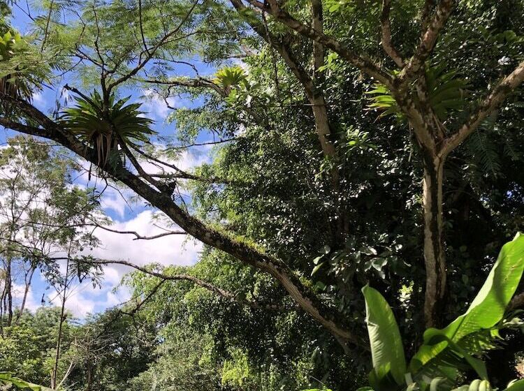 酒店 Santa Maria Volcano Lodge