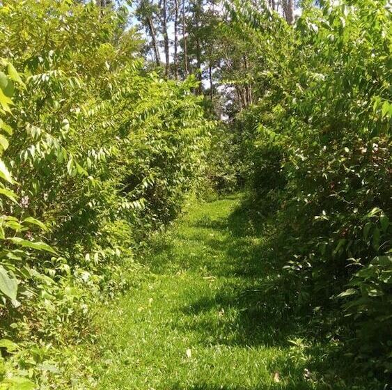 酒店 Santa Maria Volcano Lodge
