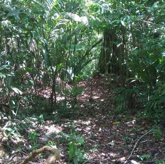 酒店 Santa Maria Volcano Lodge