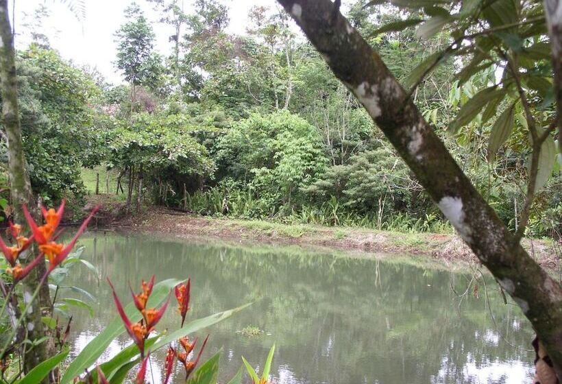 酒店 Santa Maria Volcano Lodge