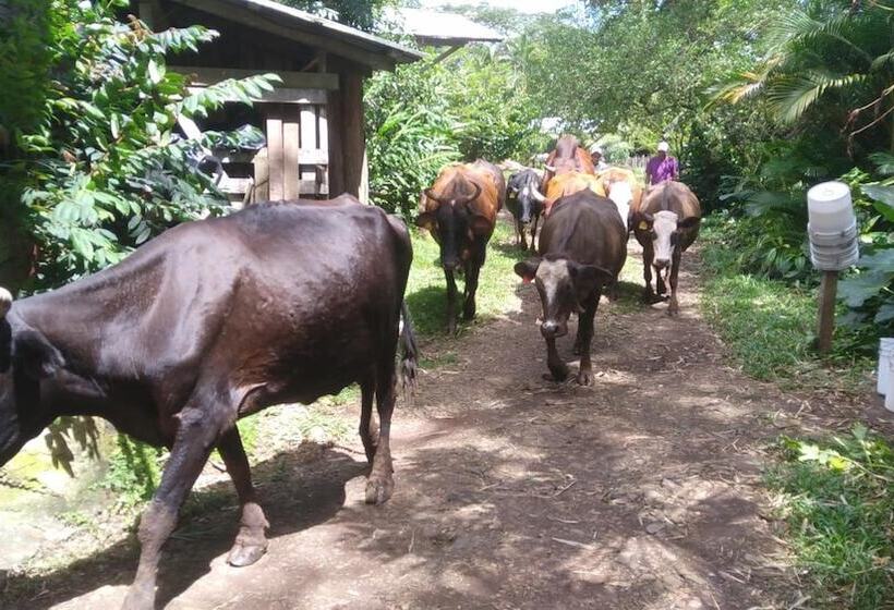 בית מלון כפרי Santa Maria Volcano Lodge