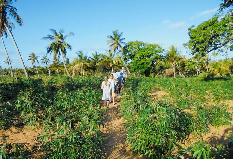 Отель Travessia Beach Lodge